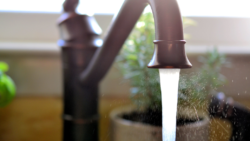 Eco-Friendly Plumbing: How to Celebrate Earth Day