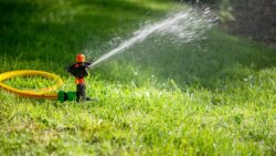 Outdoor Plumbing Problems That Pop Up in the Summer